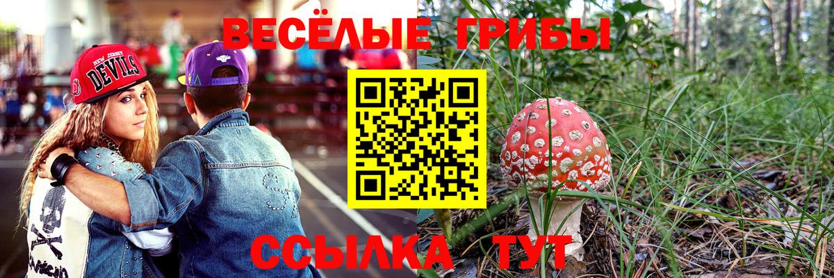 Псилоцибиновые грибы Psilocybe  Вход с VPN  Вязьма  Псилоцибиновые грибы MAGIC MUSHROOMS 