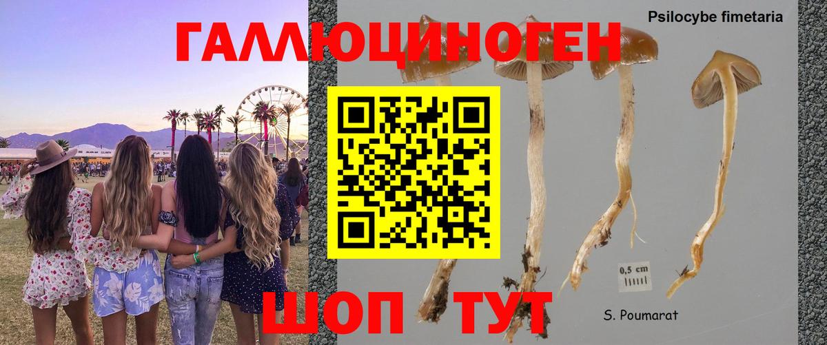 COCAIN  Амфетамин   Cocaine  Бошки Шишки  ГАШ  Мефедрон кристаллы  Гашиш  Вязьма  Вход с VPN 